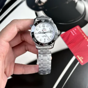 Omega Seamaster 210.30.42.20.04.001 42mm 1.webp