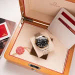 Omega Seamaster Diver 210.20.42.20.01.002 42mm 3.webp