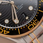 Omega Seamaster Diver 210.20.42.20.01.002 42mm 5.webp