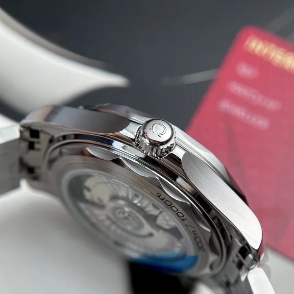 Omega Seamaster Diver 300M 210.30.42.20.06.001 42mm 4.webp
